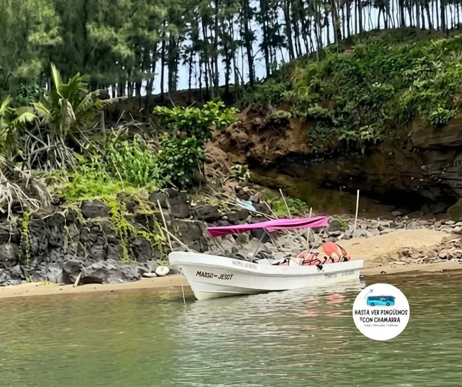 Lancha en una pequeña playa rodeada de vegetación